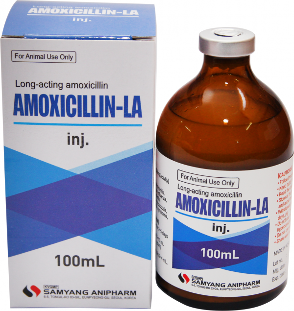 AMOXICILLIN-LA inj 100ML - THUỐC THÚ Y